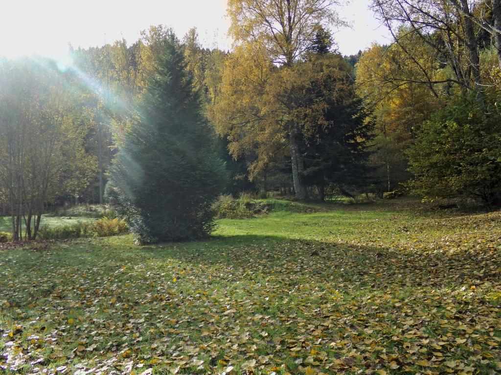 Hotel-Spa & Restaurant Logis Domaine Langmatt Murbach Zewnętrze zdjęcie