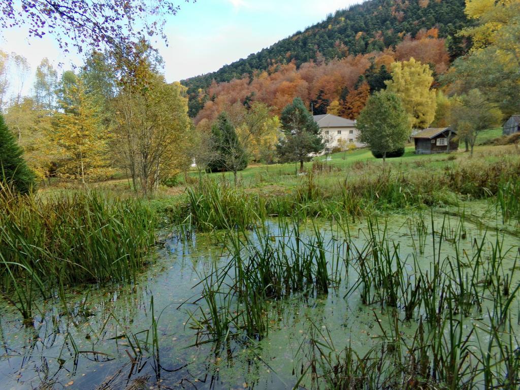 Hotel-Spa & Restaurant Logis Domaine Langmatt Murbach Zewnętrze zdjęcie