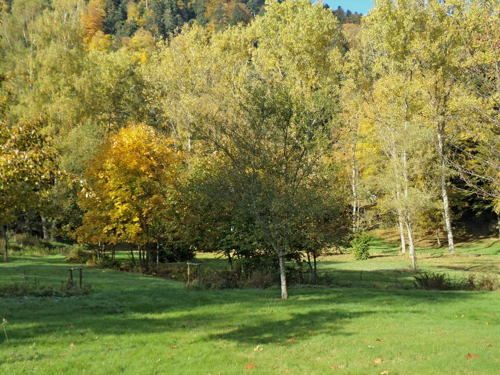 Hotel-Spa & Restaurant Logis Domaine Langmatt Murbach Zewnętrze zdjęcie