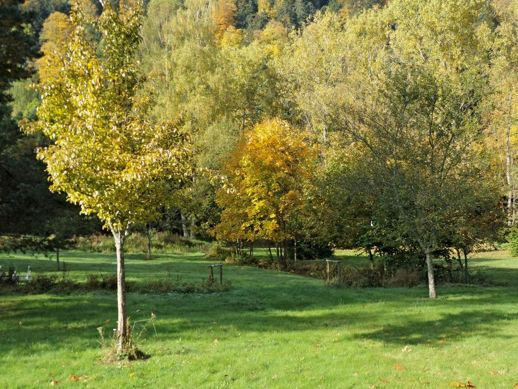 Hotel-Spa & Restaurant Logis Domaine Langmatt Murbach Zewnętrze zdjęcie